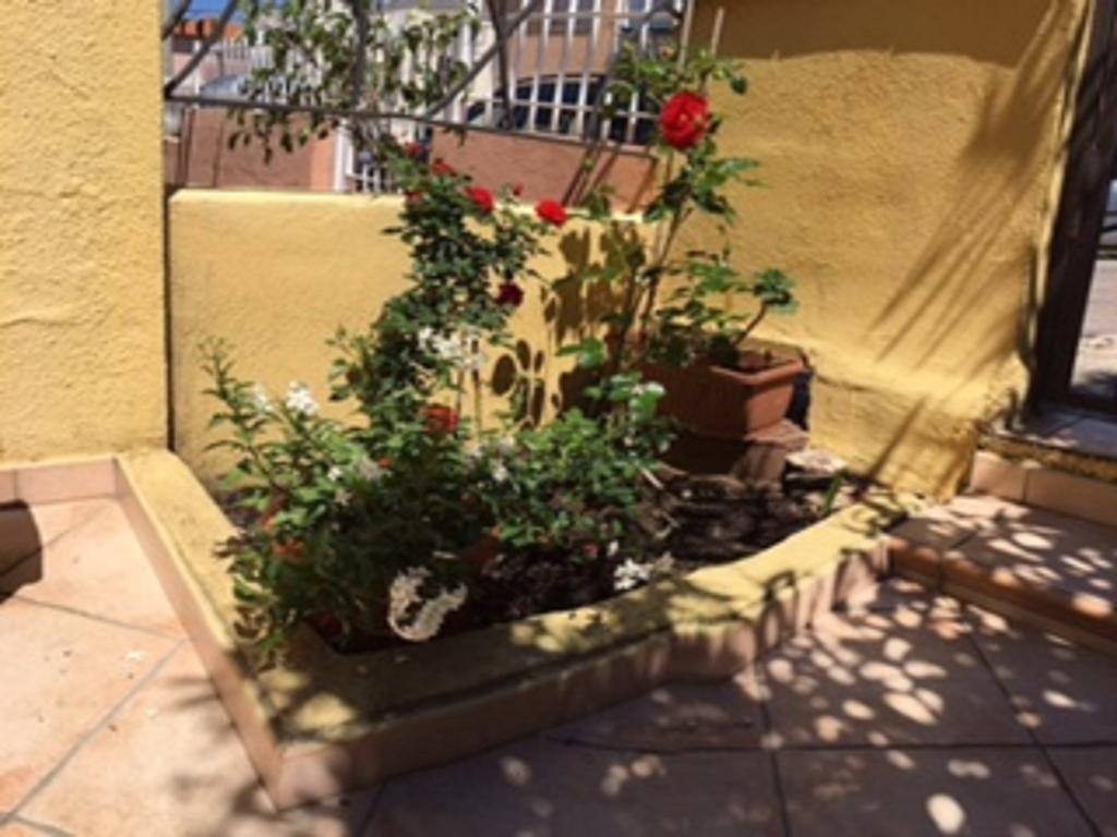 Guesthouse Nuvole Olbia Exterior foto